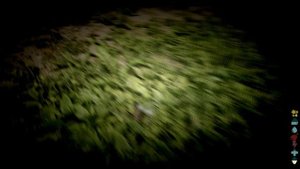 ARK Survival Ascended: начало на карте остров