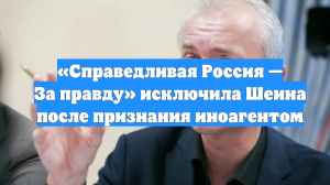 «Справедливая Россия — За правду» исключила Шеина после признания иноагентом