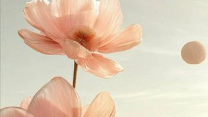 Трогательные истории - Свобода внутри меня...