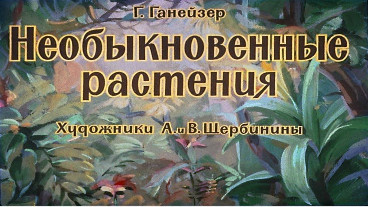 Сказка 138 Необыкновенные растения смотреть онлайн