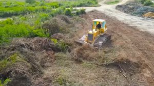 Строительство, зачистка террритории от зарослей, планировка