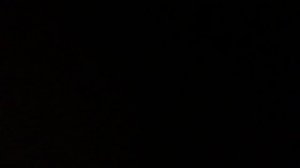 История богатой семьи