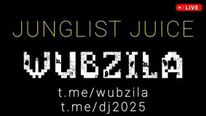 WUBZILA - Top Drum-and-bass 2024 2025 - лучшие драм-энд-бейс сеты миксы - DJ 2025 - jungle dnb mix