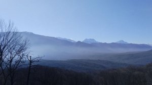 VID_20241123_124503.mp4