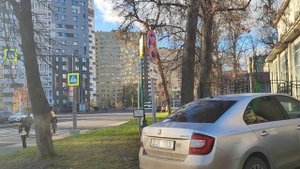 Нам жизнь посылает людей для чего-то... Алеся Синеглазая