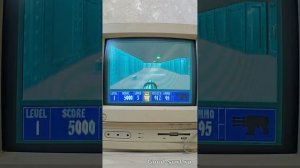 Играю в Wolfenstein 3D на Windows 95