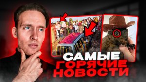 ТОП 10 НОВОСТЕЙ!Енота и белку просто так забрали ..😔Мужчина закопал свой автомобиль.