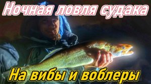 НОЧНАЯ ЛОВЛЯ СУДАКА НА ВИБЫ И ВОБЛЕРЫ/НОЧНАЯ РЫБАЛКА НА ВОЛГЕ/СУДАК НОЧЬЮ/ОСЕННЯЯ РЫБАЛКА/САМАРА