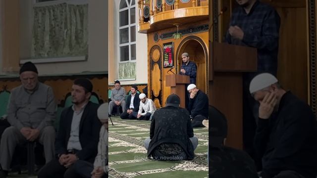 Маджлис в Новомехельта. смотреть онлайн