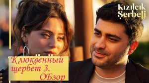 Клюквенный щербет 3. Серии 3-10. Краткий обзор-пересказ.