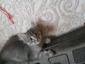 делаем всякое