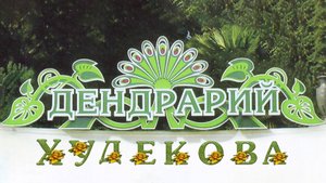 ДЕНДРАРИЙ ХУДЕКОВА. Фильм Павла Тулаева и Ангелины Петраковой