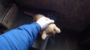 момент из жизни №1