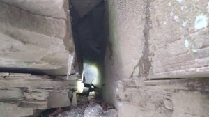 Охота с лайками и таксой по первому снегу. Охота на куницу и шакала. Дикие пчелы зимой.
