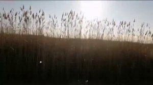 Открытие ЗИМНЕГО ПОДЛЕДНОГО СЕЗОНА!!! 🔥🔥🔥