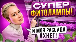 ЭТО ЛУЧШИЕ ЛАМПЫ ДЛЯ СТЕЛЛАЖА С РАССАДОЙ.