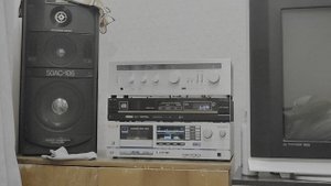 БешОная система😁