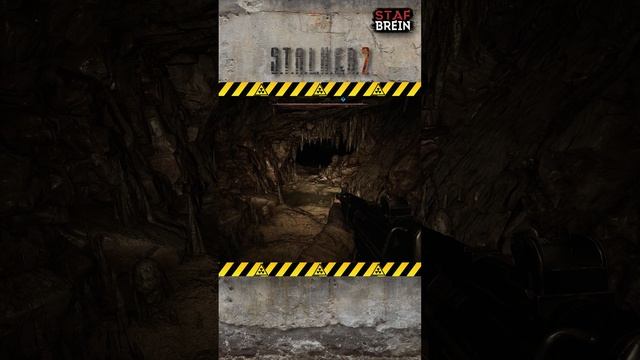 ОН ЕЩЕ УЧИТСЯ. Безобидный КРОВОСОС в Сталкере 2!