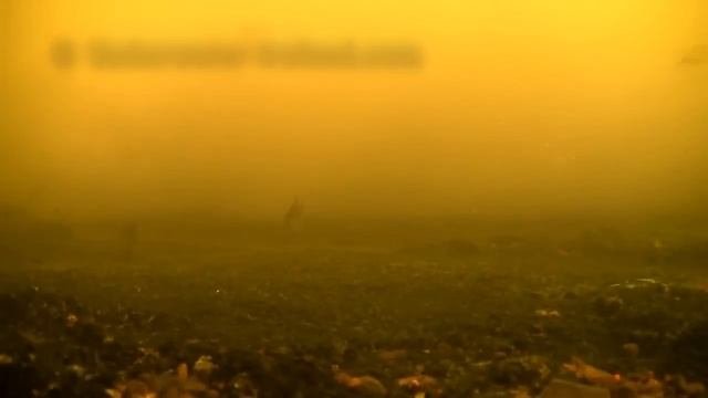 Подводные камеры для РЫБАЛКИ