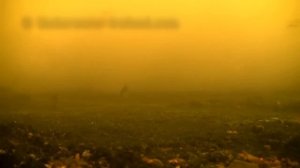 Подводные камеры для РЫБАЛКИ