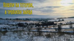 Пошли на тетерева, а тропили зайца
