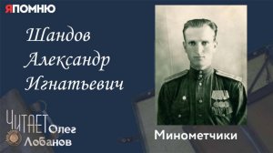 Шандов Александр Игнатьевич. Проект "Я помню" Артема Драбкина. Минометчики.