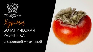 Ботаническая разминка. Эфир от 23.11.24. Рисуем хурму с Виринеей Никитиной