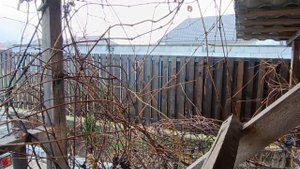 Влог.Деревенские будни.Псковская жизнь