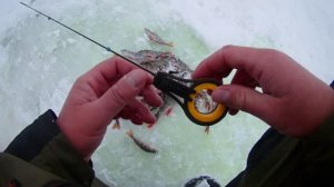 БЕЗКИВКОВАЯ БЕЗМОТЫЛКА В РАБОТЕ. ЛОВЛЮ ОКУНЯ НА ЧЕРТА В КОРЯЖНИКЕ