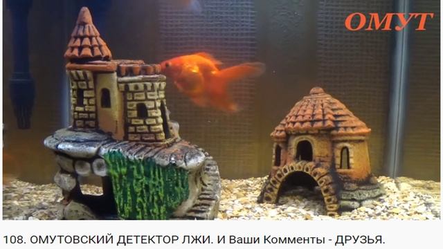 108 дитектор лжи