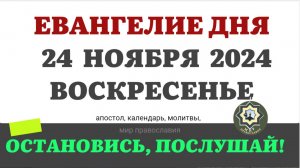 24 НОЯБРЯ ВОСКРЕСЕНЬЕ ЕВАНГЕЛИЕ АПОСТОЛ ДНЯ ЦЕРКОВНЫЙ КАЛЕНДАРЬ 2024 #мирправославия