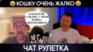 Нерожавшая кошка 😂(юмор) чат рулетка