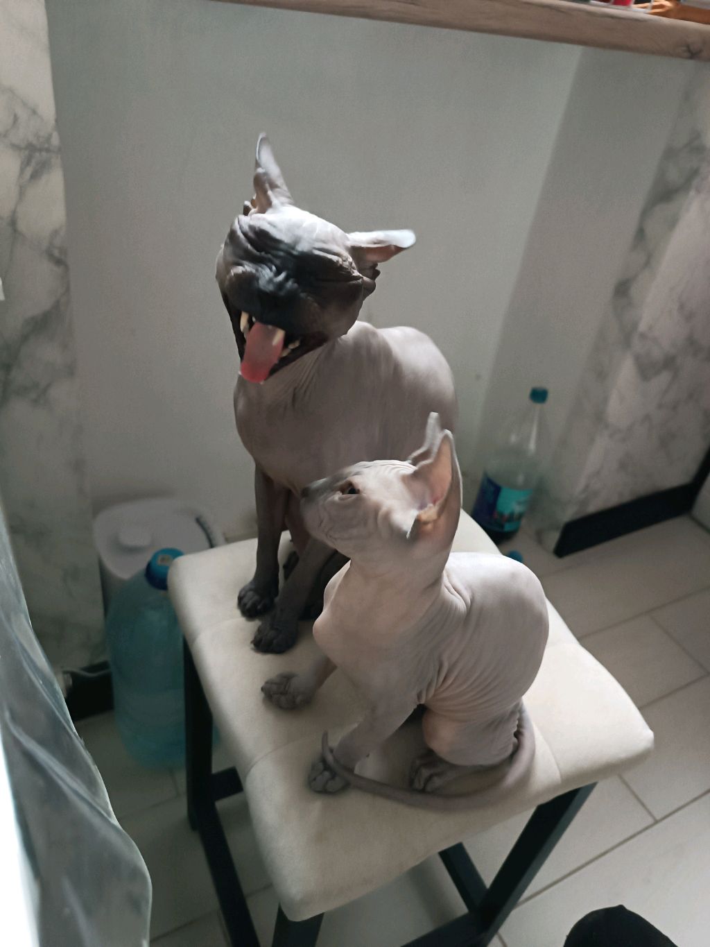 болтаем
