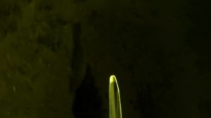 зимовальные ямы Саратов  открытие сезона 2019 (7 Апреля)