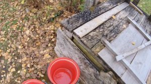 моменты из жизни №2