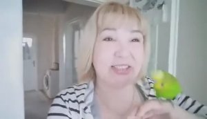 Волнистый попугай Кеша🐦✅Небольшие моменты🤗✅