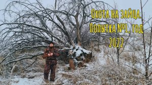 Охота на зайца. Попытка №1, год 2022