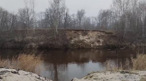 Мобиба. Выезд 22.11.24