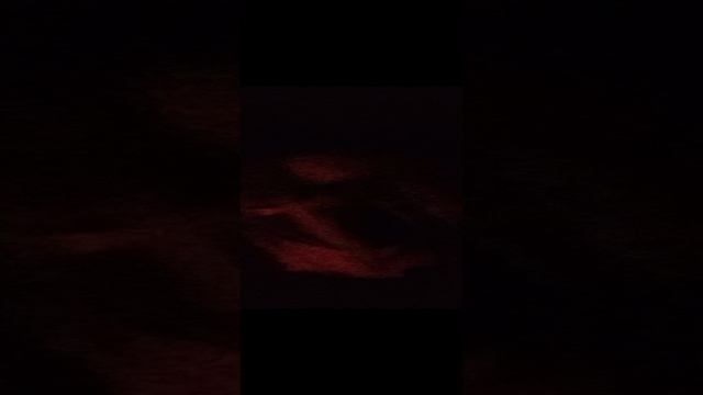 жар-птица