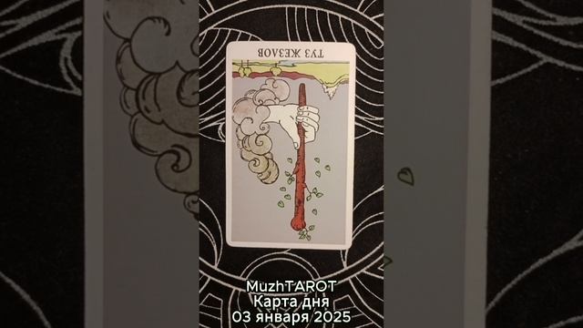 Карта дня - 03 января 2025 г. #tarot #таро #картытаро #таровидео #картадня #тарология #тарокартадня