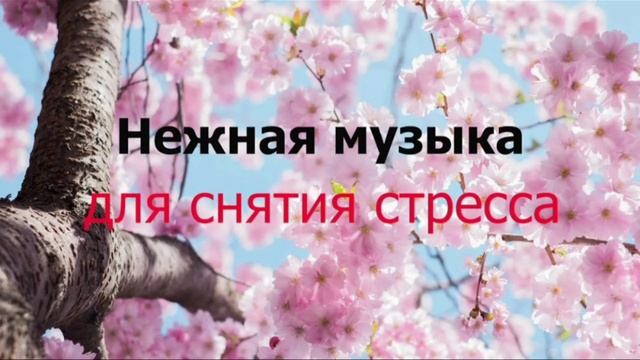 Музыка для снятия стресса. Мелодия для души