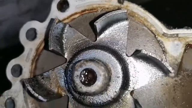 Nissan Tino (Течь Антифриза) Замена Помпы... смотреть онлайн