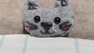 Котёнок ролл. 🐱