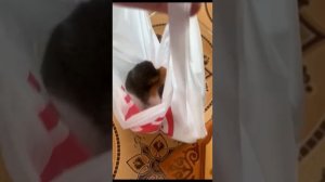 Веселые видео с котиками #18😎