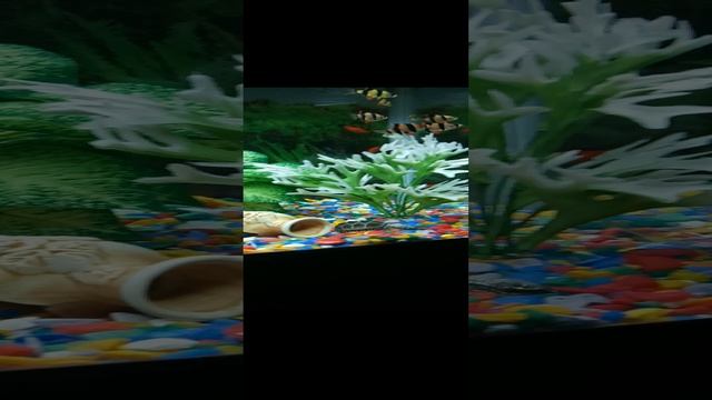 1000010748.mp4