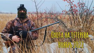 Охота на тетерева. Ноябрь 2022