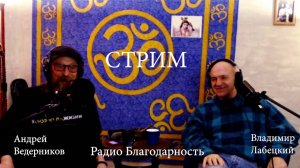 Радио Благодарность | Формула Жизни | Актёр Владимир Лабецкий | Cтрим 22.11.24