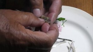 Как удобно и просто почистить мелкую вяленую  рыбку.