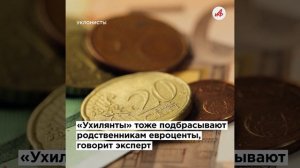 Скакали на Майдане — остались у разбитого корыта: как Запад и Зеленский разрушили Украину