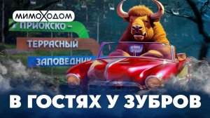 В гостях у зубров